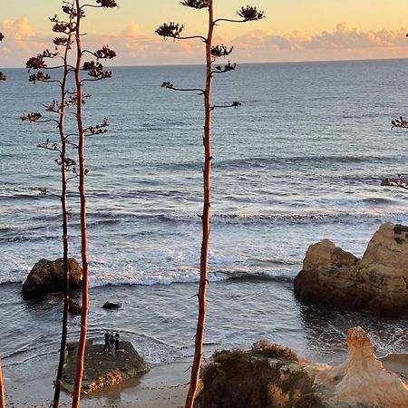 Apartamento Da Avo Te - Em Frente A Praia C Piscina ポルティマン エクステリア 写真