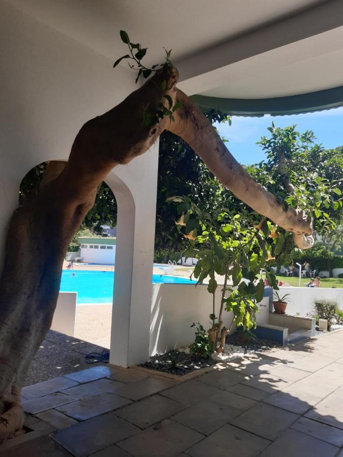 Apartamento Da Avo Te - Em Frente A Praia C Piscina ポルティマン エクステリア 写真